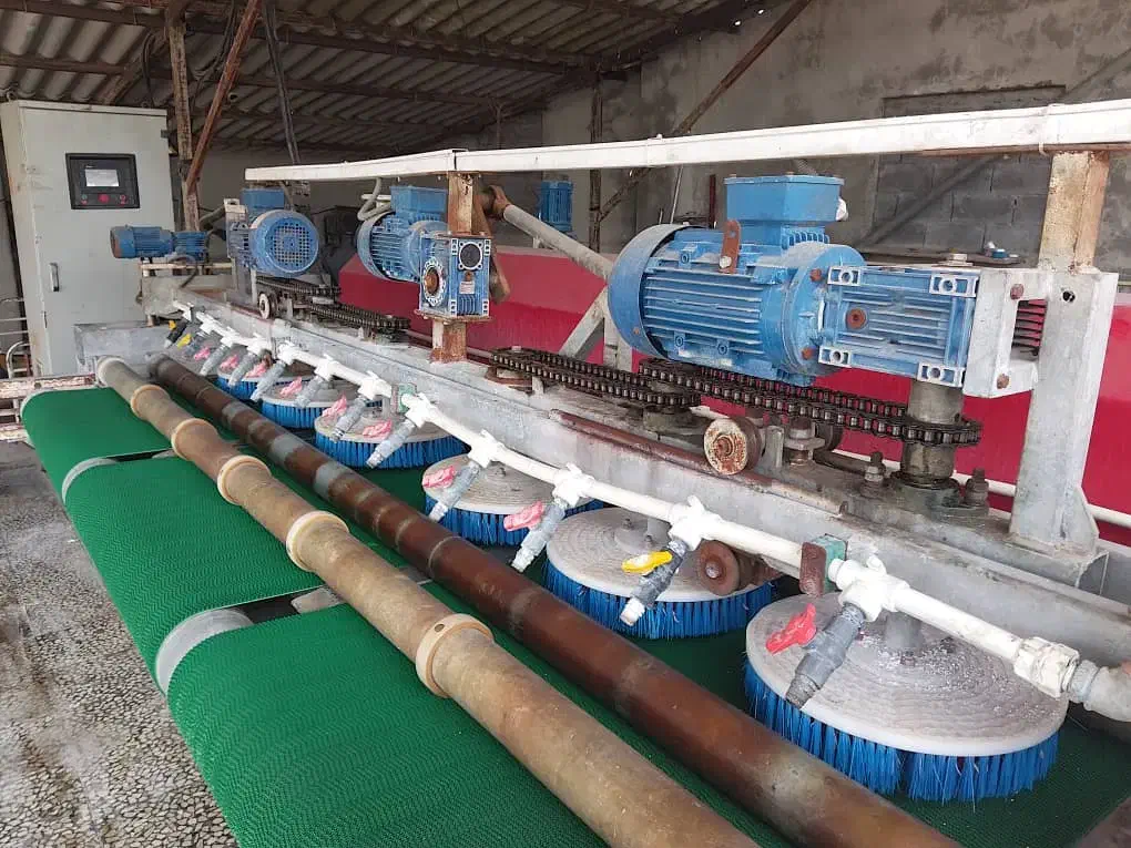 قالیشویی و مبلشویی جلیلی|خدمات نظافت|ایزدشهر, |دیوار