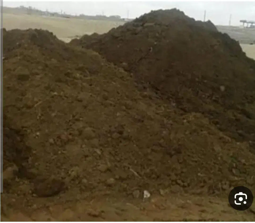 فروش کود گوسفندی در قمصر|خدمات باغبانی و درختکاری|قمصر, |دیوار