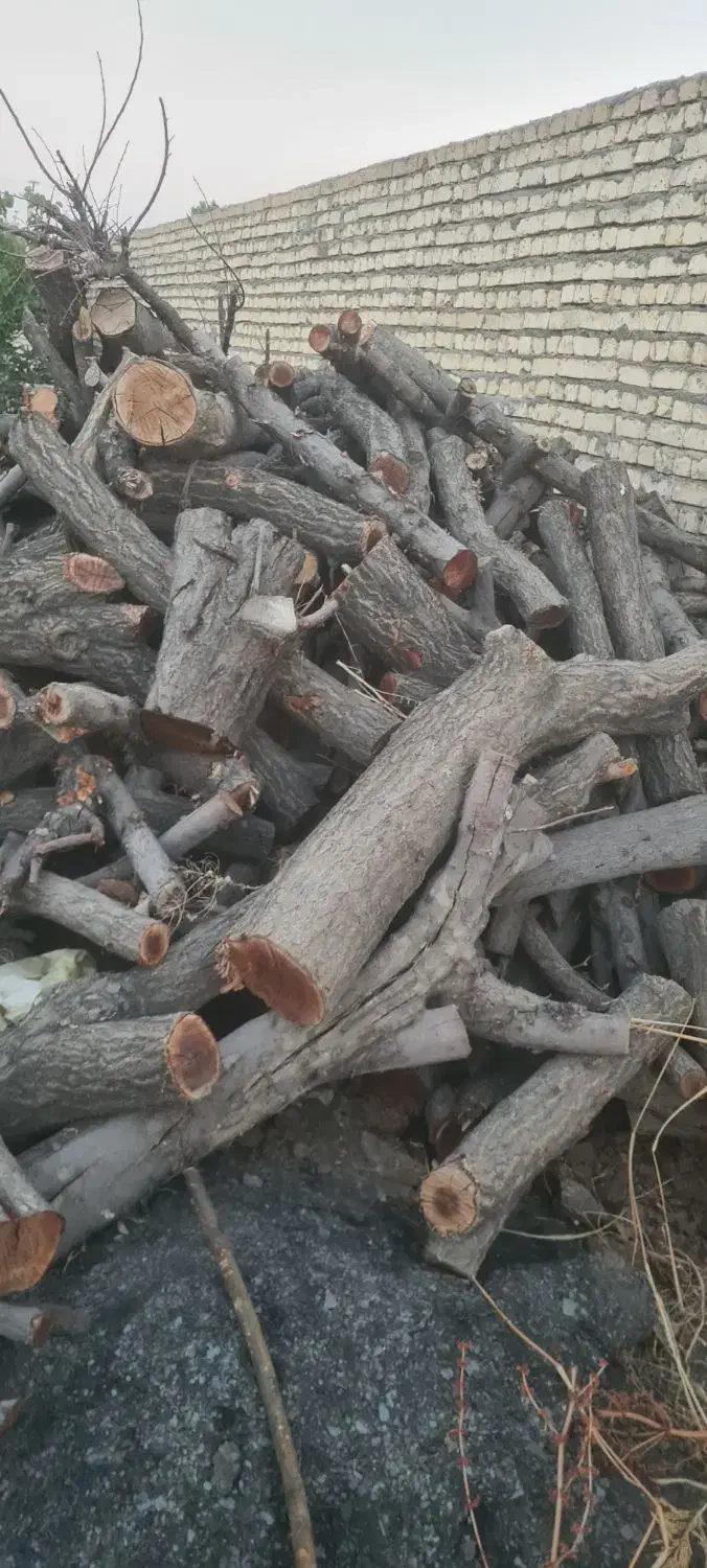 خریدار انواع چوب زغال و تنه و کنده و ریشه درخت|عمدهفروشی|اصفهان, ارغوانیه|دیوار