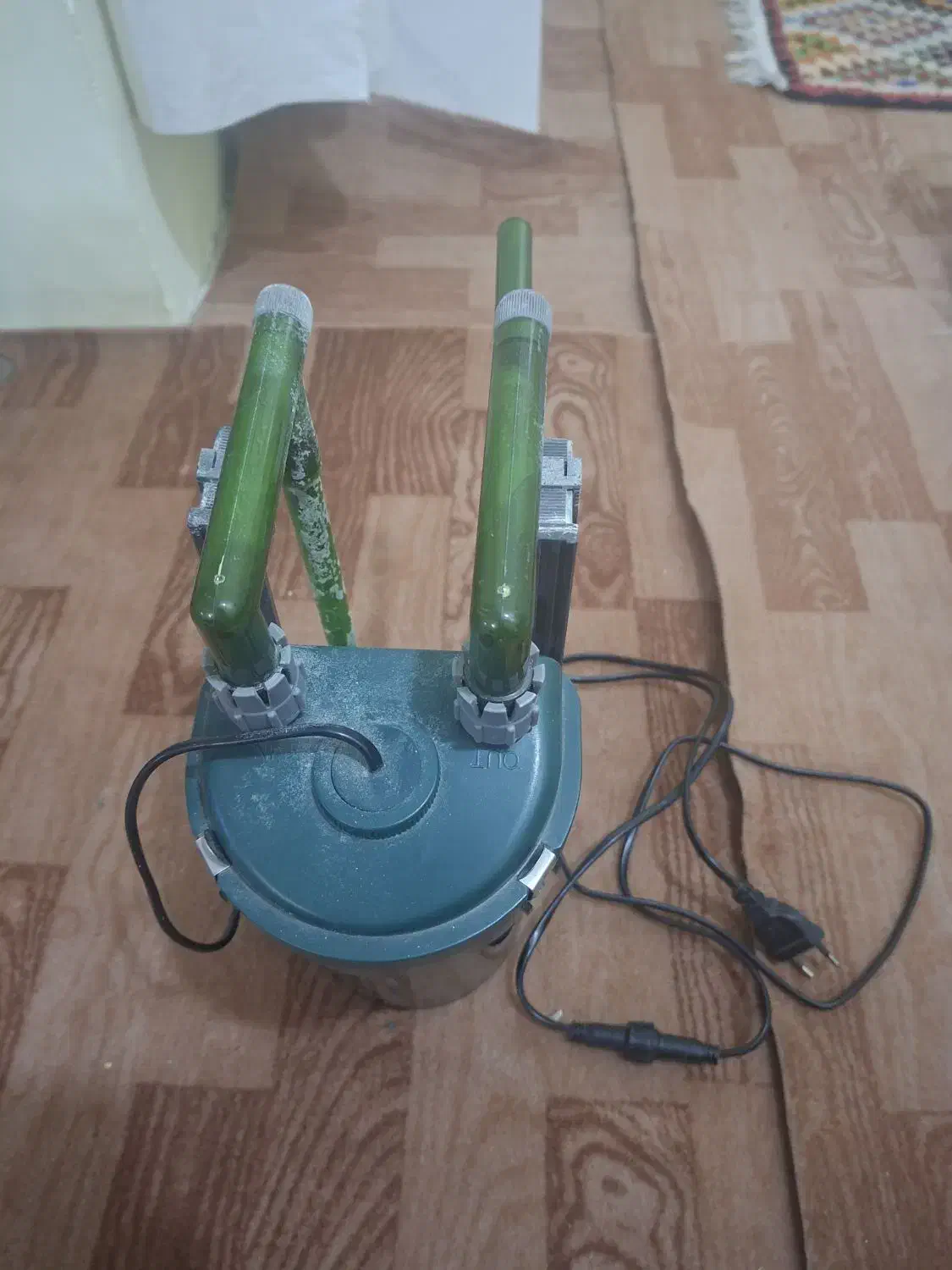 تسویه سطلی|ماهی|زنجان, |دیوار