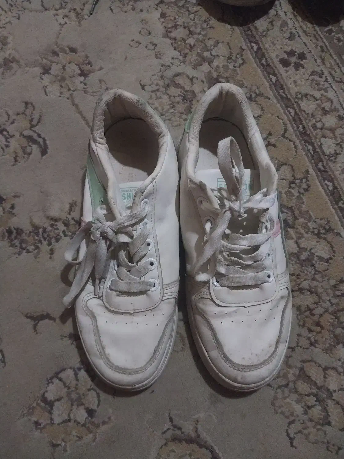 انواع کفش از سایز ۳۷ تا ۴۰|کیف، کفش، کمربند|رشت, دباغیان|دیوار