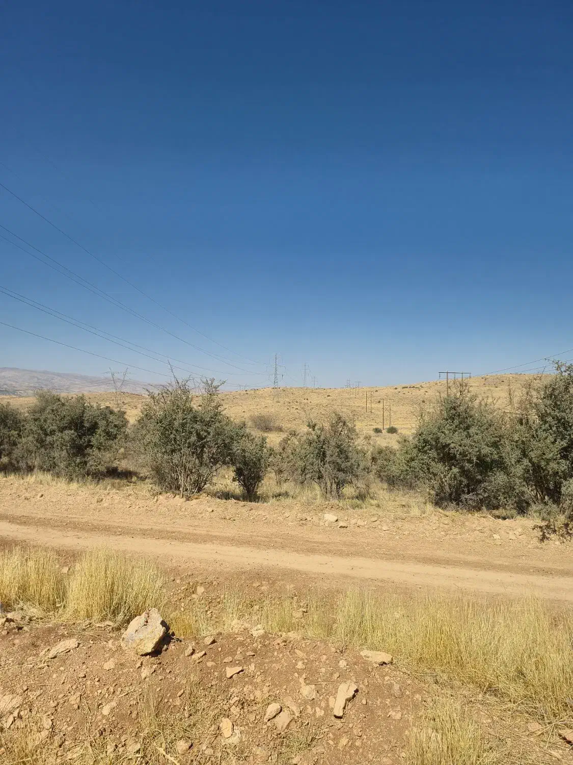 ماشین آفرودی|خودرو اجاره‌ای|شیراز, ابیوردی|دیوار