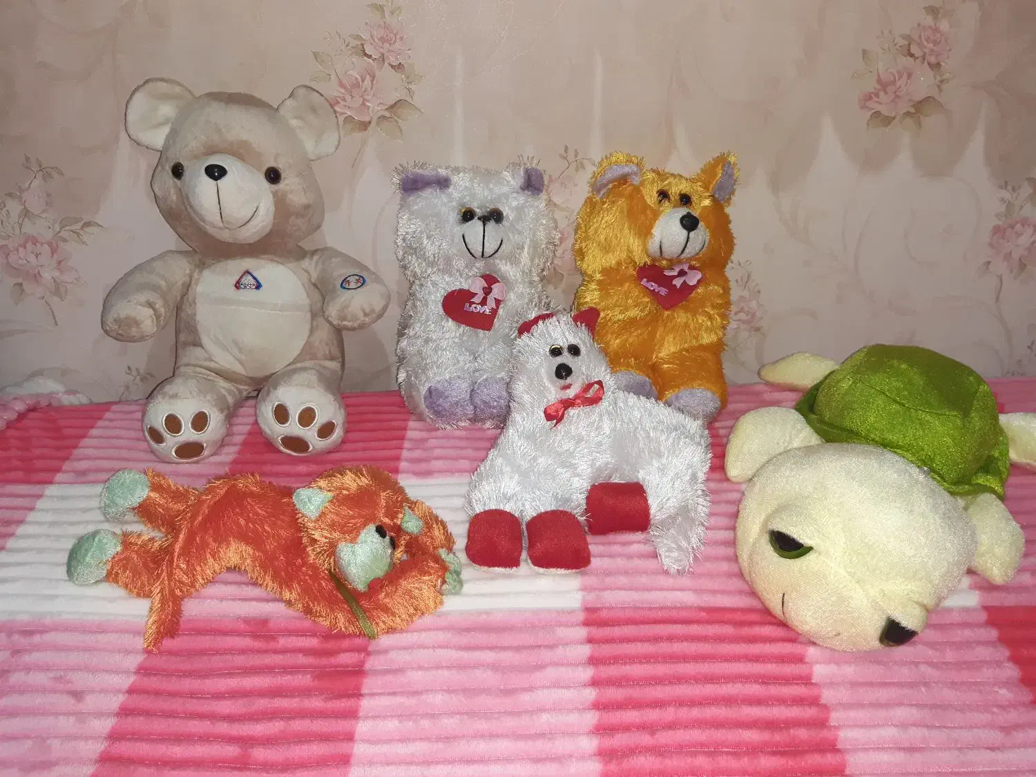 عروسک های کاملا نو|اسباب‌‌بازی|ابهر, |دیوار