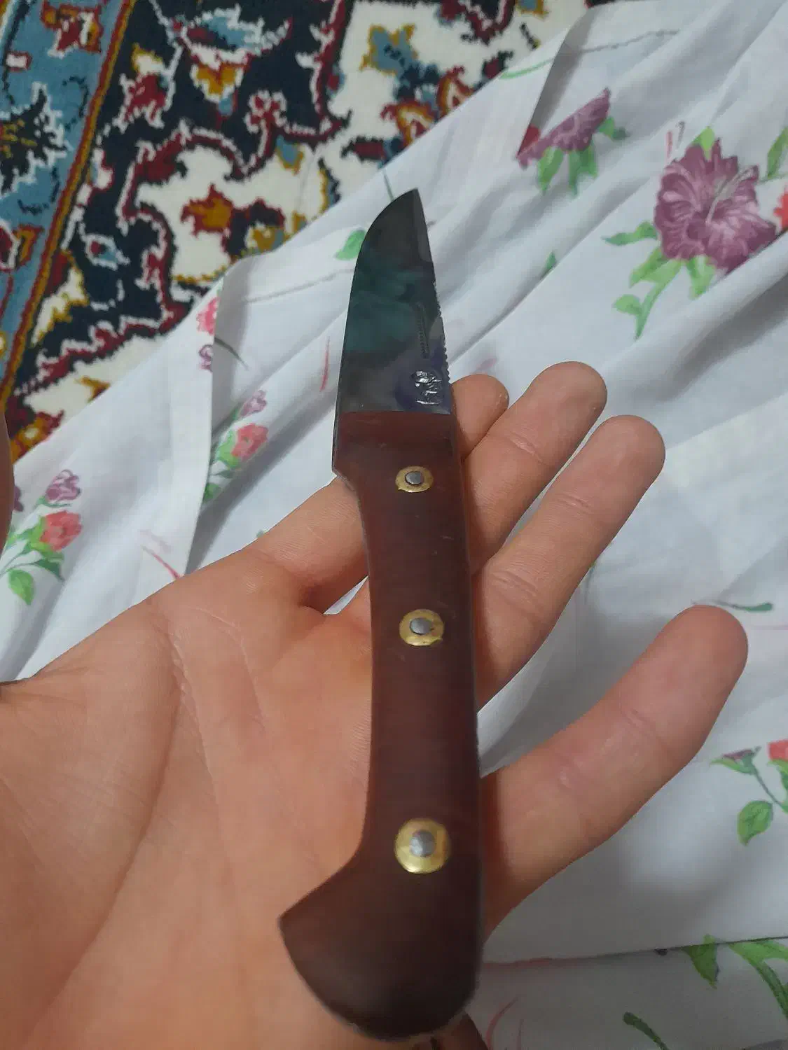 چاقو نو|ظروف پختوپز|قم, ولیعصر|دیوار