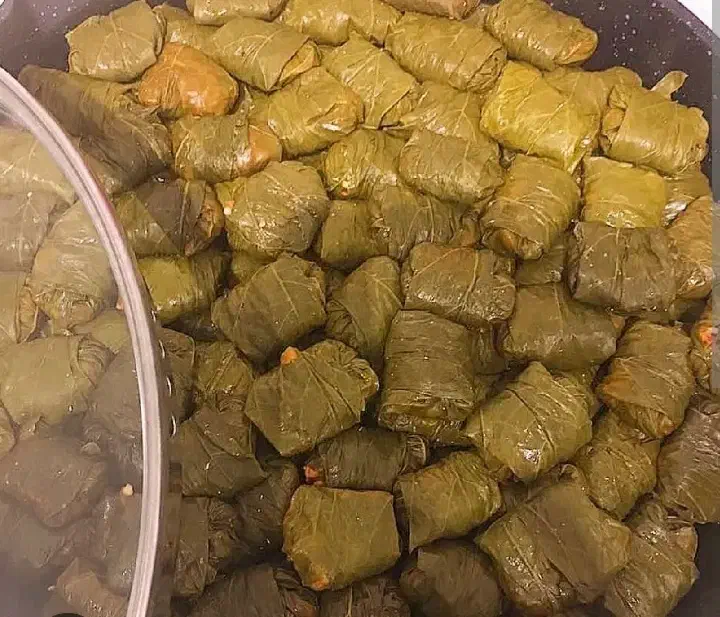 آ‌شپزی|خوردنی و آشامیدنی|نقده, |دیوار