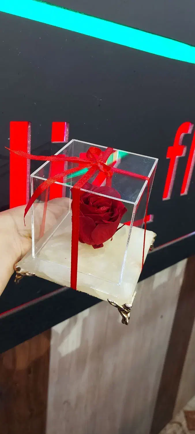 رز جاودان|گل و گیاه طبیعی|اهواز, نادری|دیوار