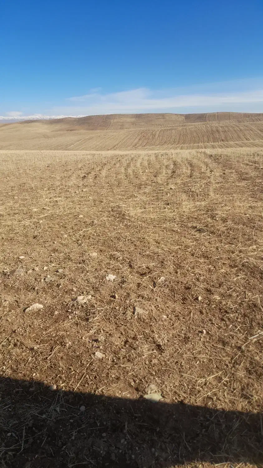 زمین دیم|فروش زمین و ملک کلنگی|زنجانرود, |دیوار