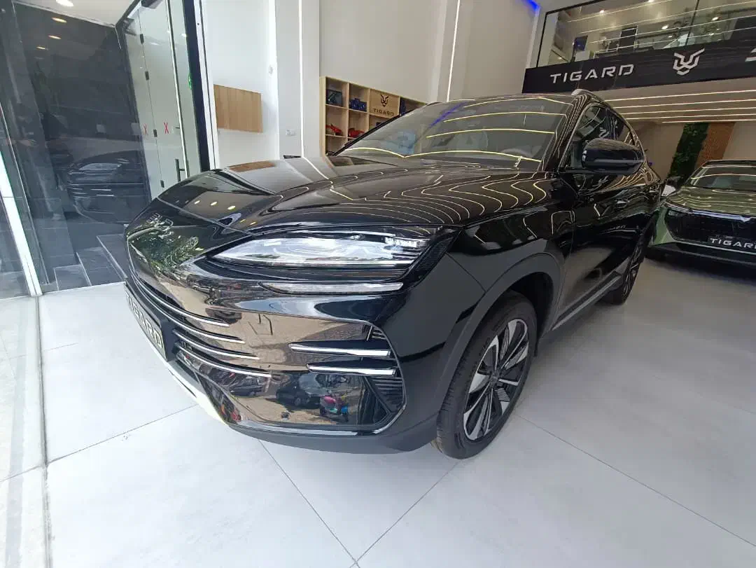 بی وای دی سانگ پلاس|خودرو سواری و وانت|تهران, جوادیه تهرانپارس|دیوار