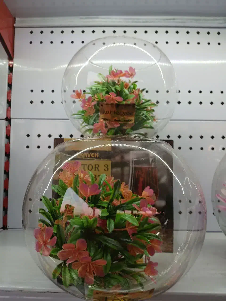 فروش انواع تنگ ماهی قرمز به صورت عمده|ماهی|قم, یزدانشهر|دیوار