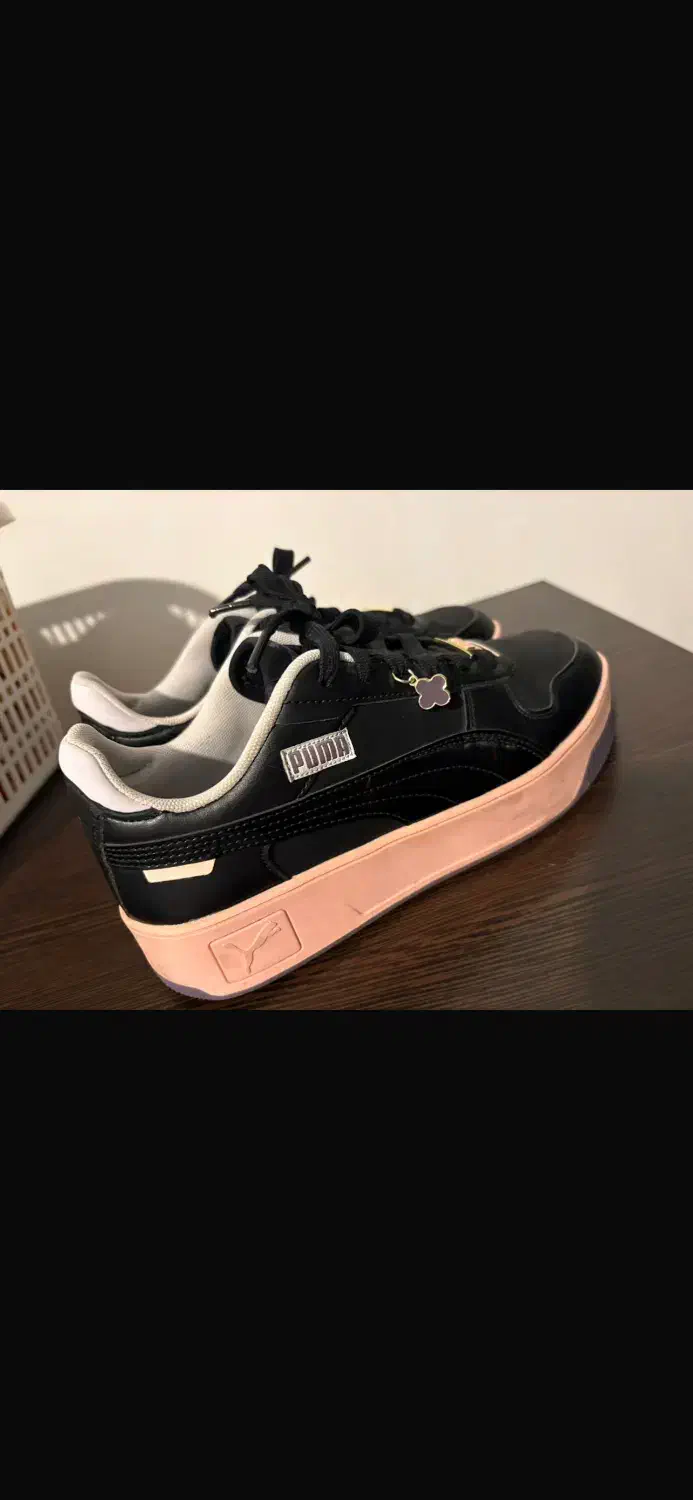 کفش پوما اورجینال زنانه|کیف، کفش، کمربند|ساری, |دیوار