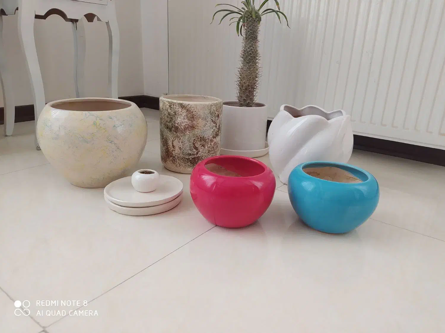 گلدان|گل و گیاه طبیعی|کرج, شهرک امیر المومنین|دیوار