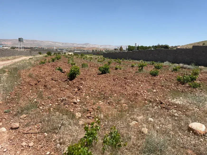 زمین قلات ۷۰۰مترباغ اسپس|فروش زمین و ملک کلنگی|شیراز, قلات|دیوار