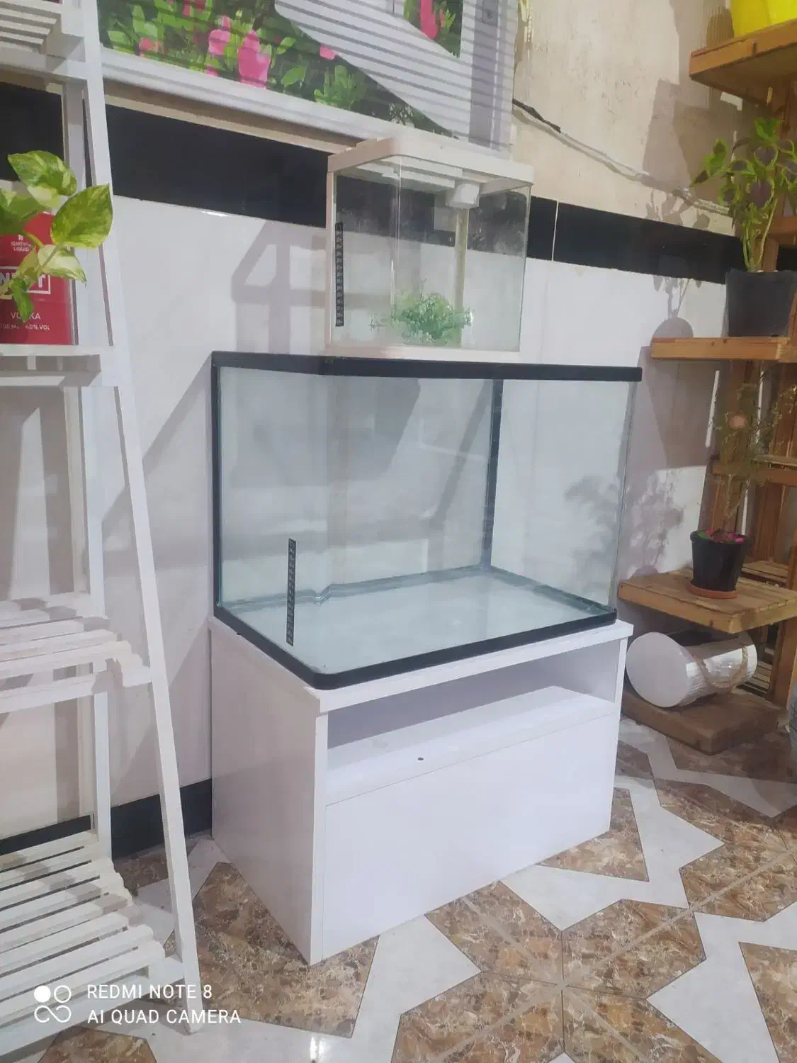 اکواریوم وماهی گلدفیش|ماهی|اسلامآباد غرب, |دیوار