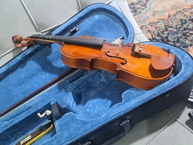 ویولون مکستور سایز ۱/۲|ویولن|قائمشهر, |دیوار