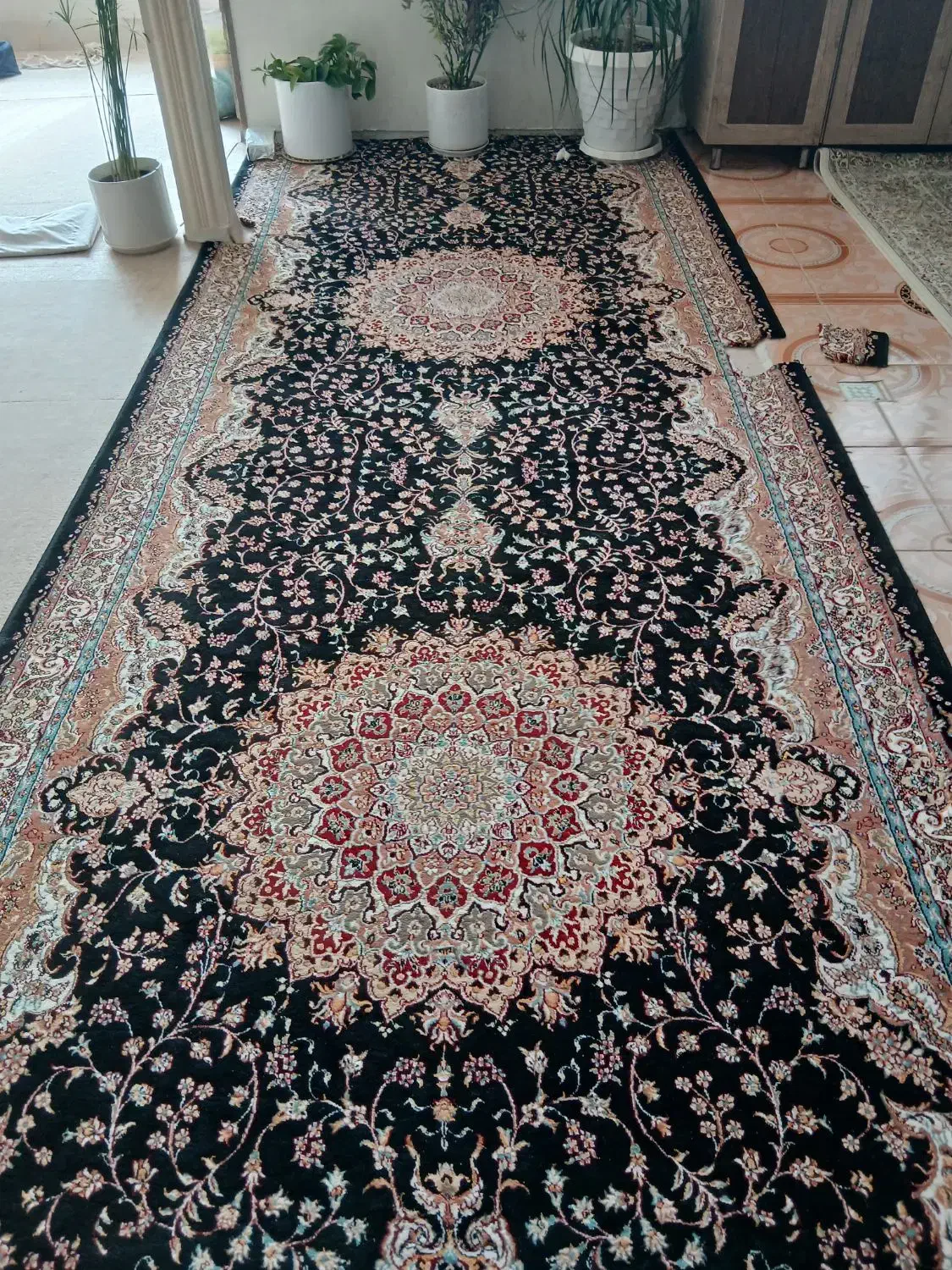 کناره فرش|فرش|تربت‌حیدریه, آغوی|دیوار