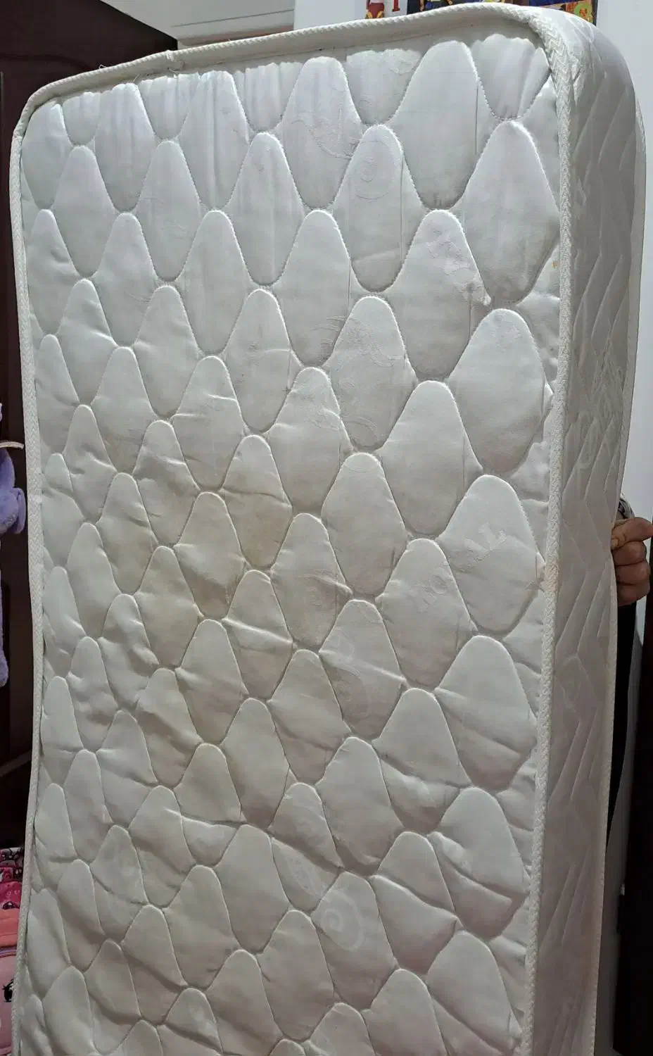 تشک نوجوان سایز ۲۰×۷۵×۱۶۰|تشک تختخواب|رودهن, |دیوار