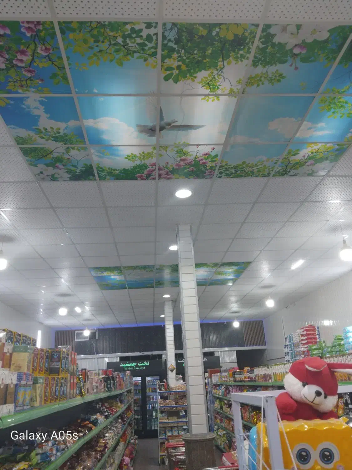 سیم کشی ساختمان|خدمات پیشه و مهارت|سلماس, |دیوار