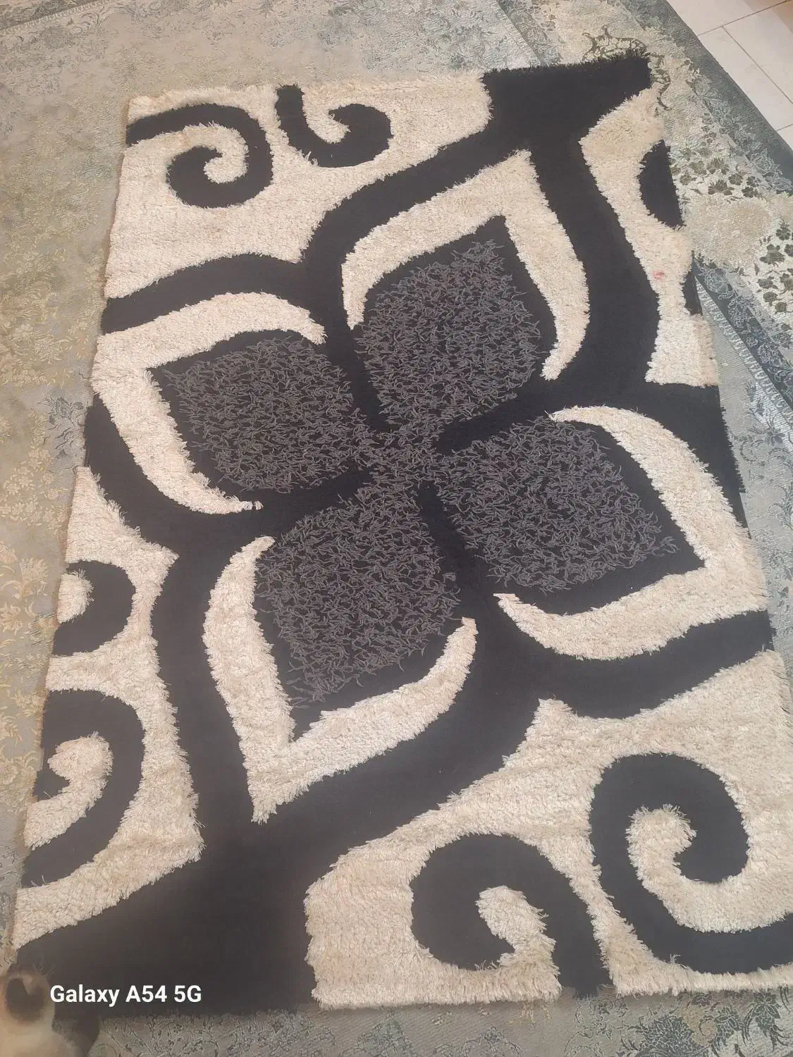 قالیچه|گلیم، جاجیم، گبه|بجنورد, |دیوار