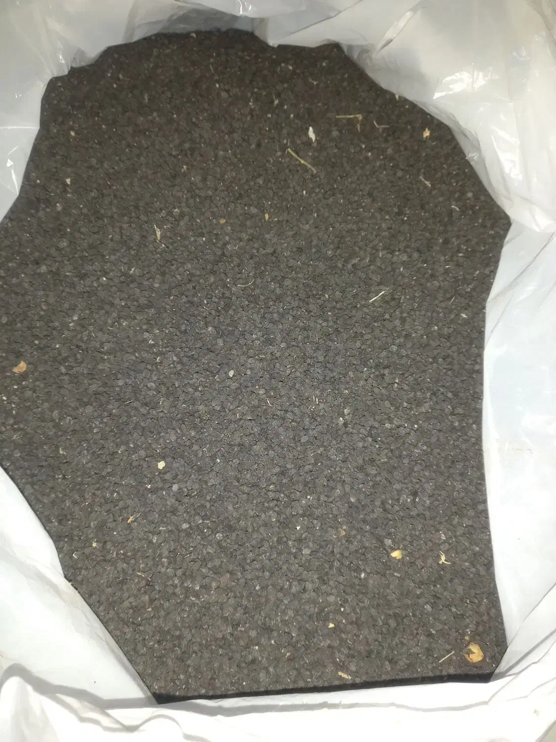 بذر پیاز خودمونی|گل و گیاه طبیعی|آباده, |دیوار