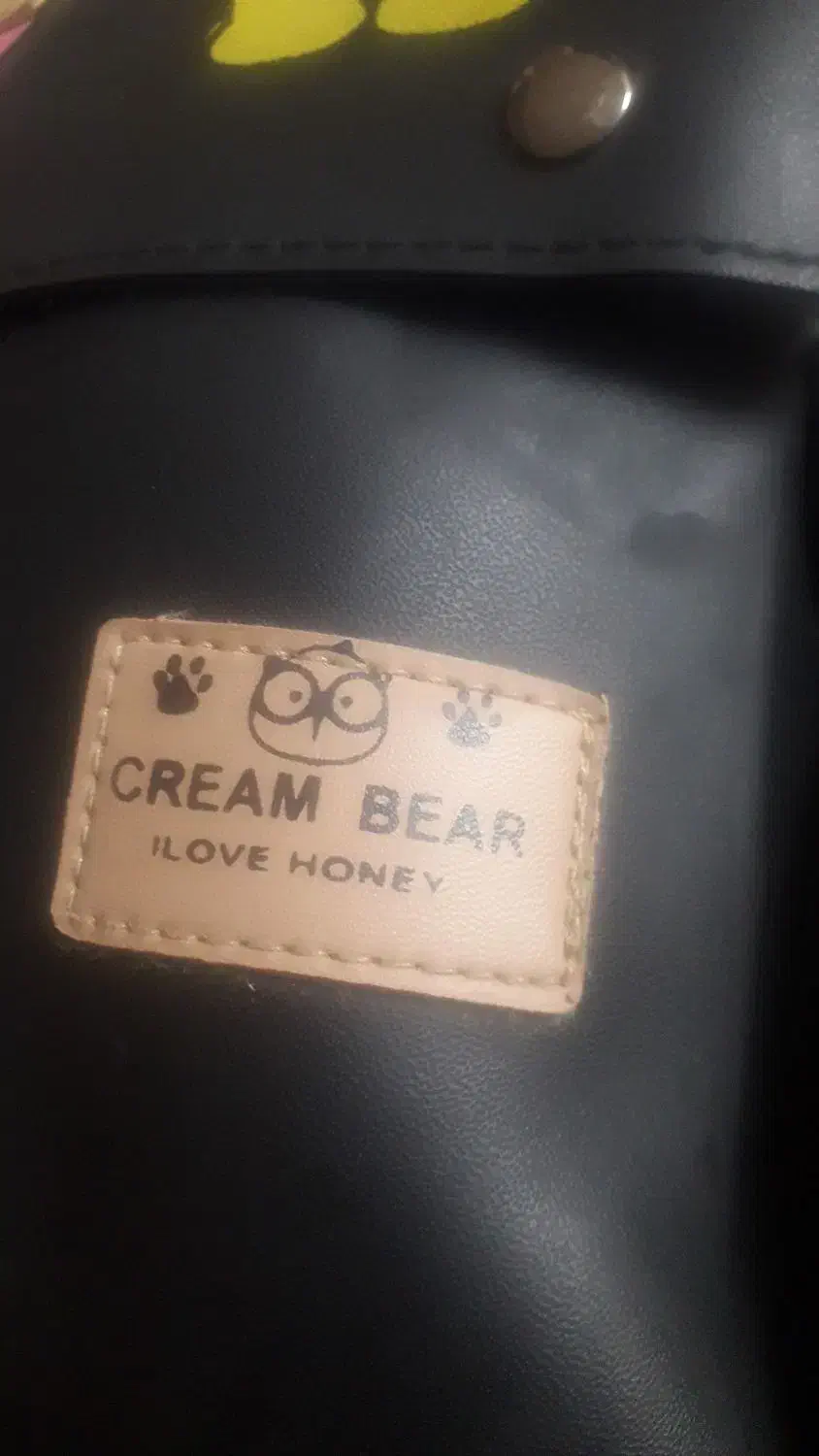 کیفدوشیوکولهمدرسه|کیف، کفش، کمربند|بندرعباس, |دیوار