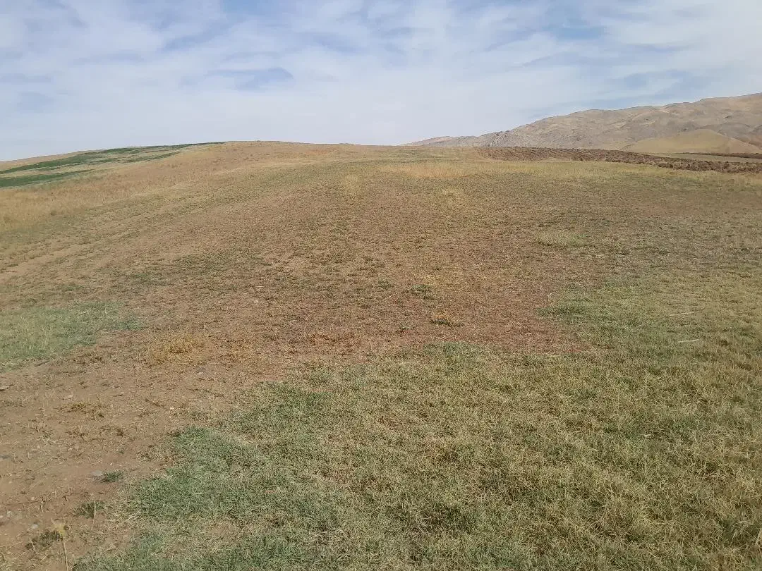 فروش فوری زمین کشاورزی|فروش زمین و ملک کلنگی|کندوان, |دیوار