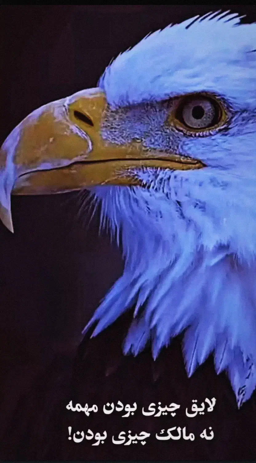 0918 361 1551|سیمکارت|اراک, |دیوار