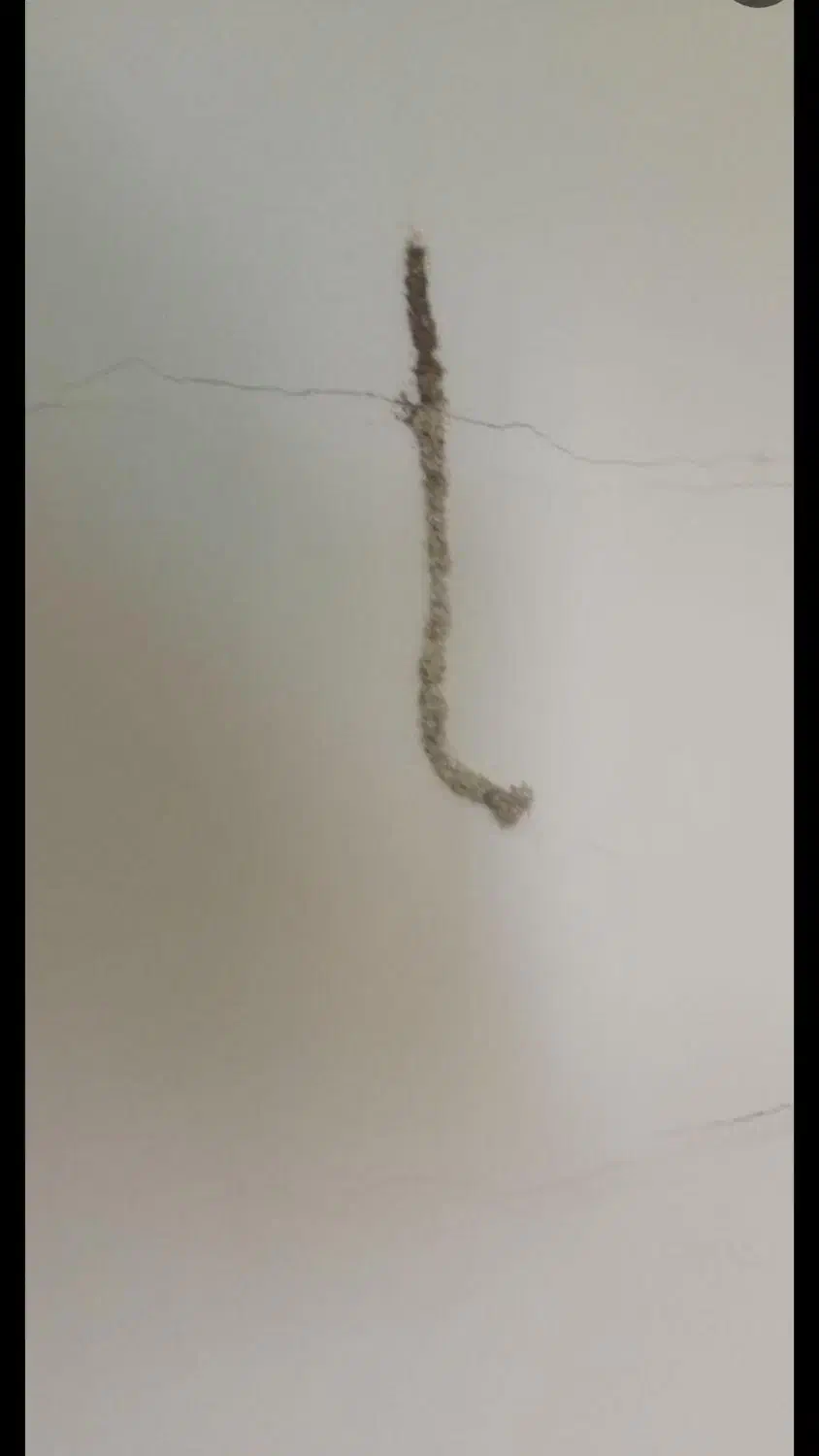 شرکت سم پاشی و موریانه زدایی(آسایش) با مجوز رسمی|خدمات نظافت|دورود, |دیوار