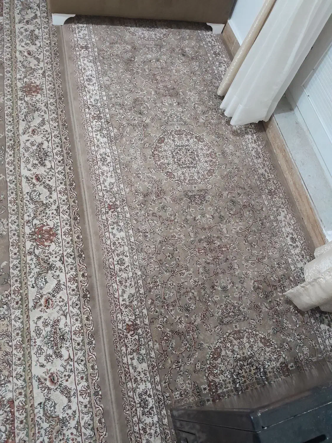 فرش های۷۰۰شانه|فرش|رشت, شهرک صبا|دیوار