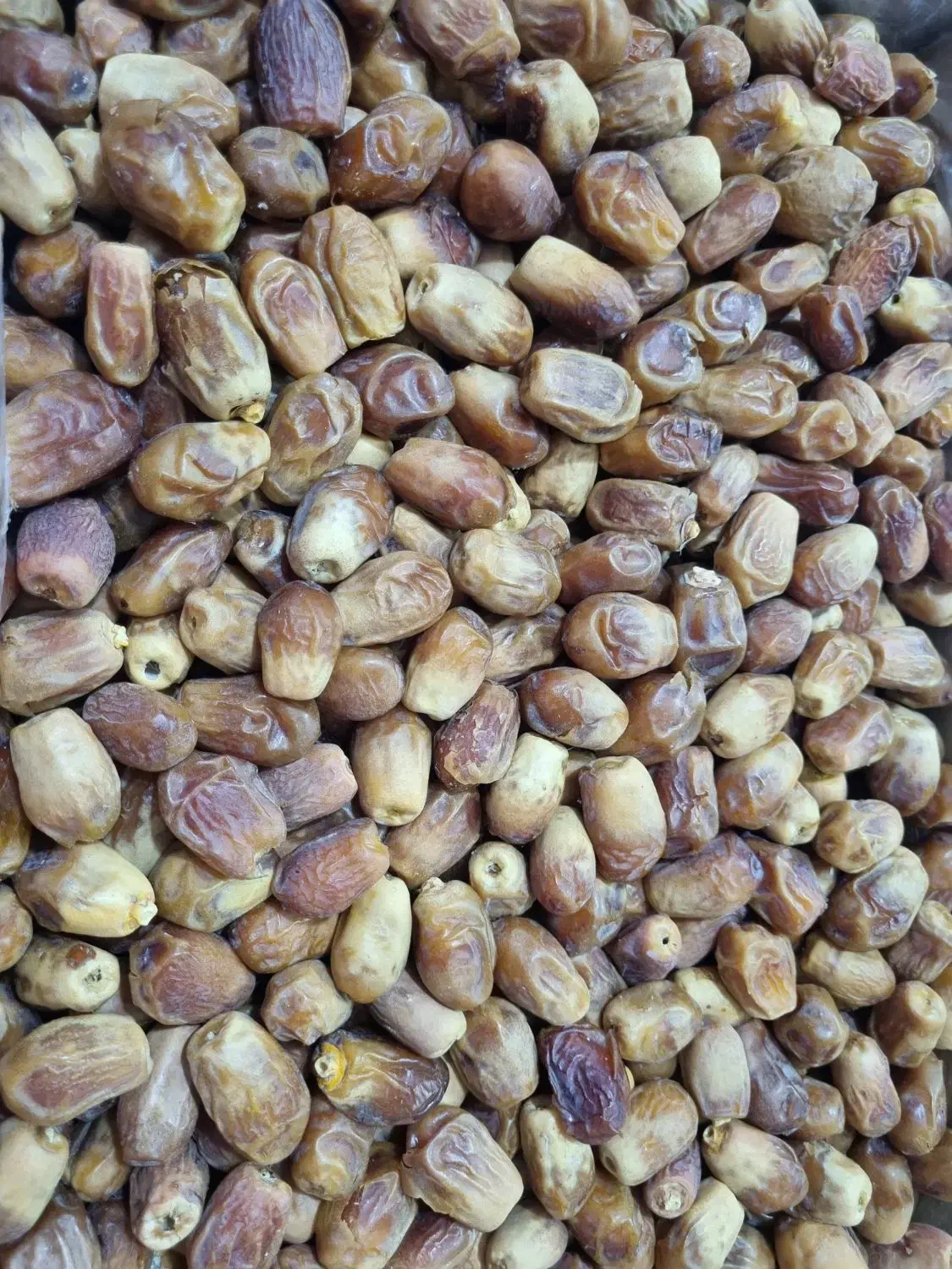 خرما خشک زاهدی|خوردنی و آشامیدنی|مشهد, نوید|دیوار