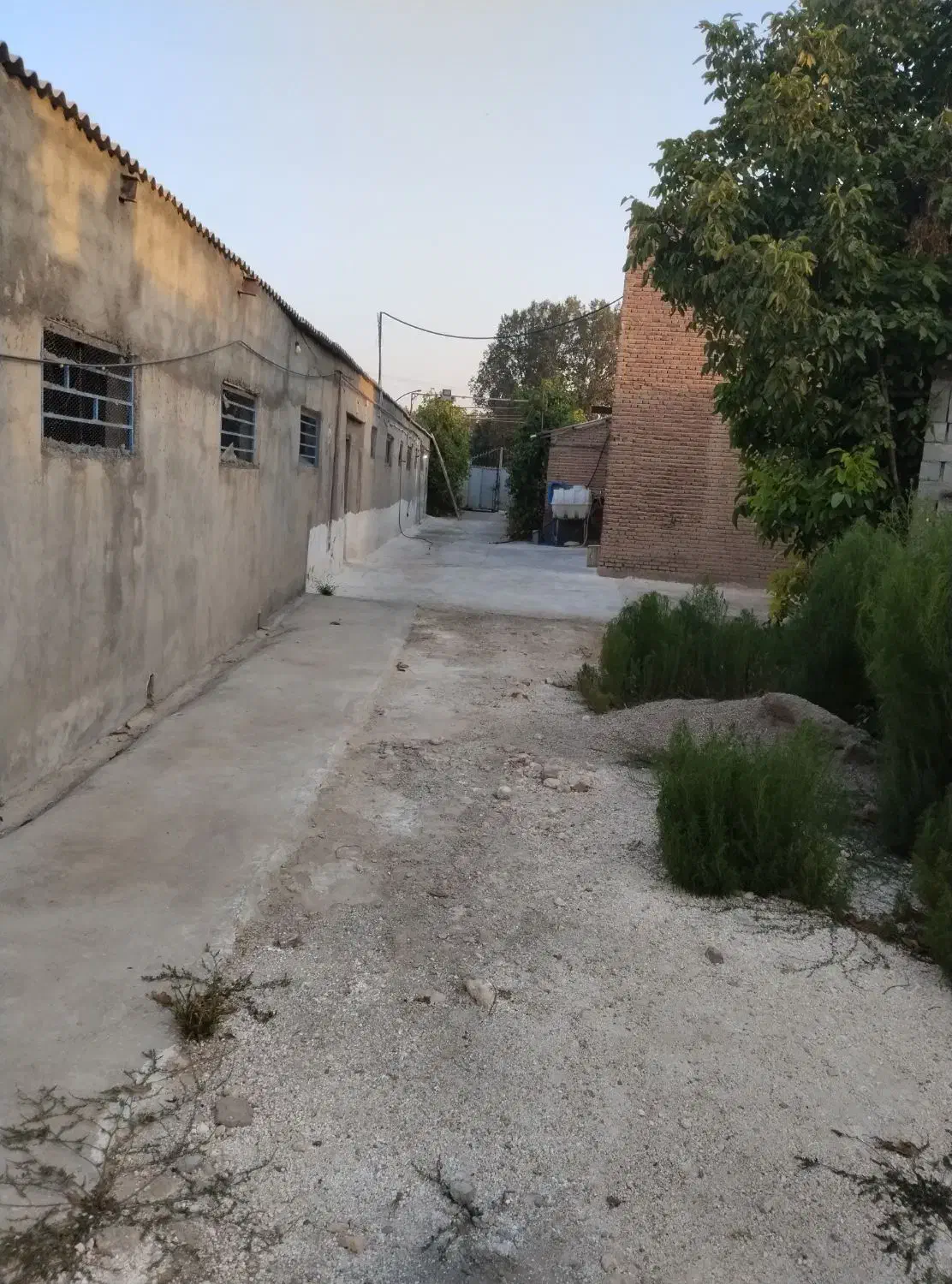 انبار پیاز|اجارهٔ مغازه و غرفه|بناب, |دیوار