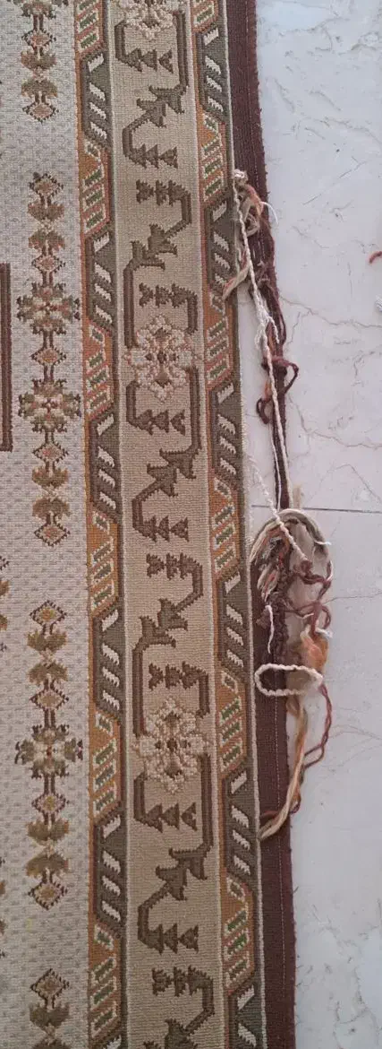 گلیم|گلیم، جاجیم، گبه|تهران, والفجر (افسریه)|دیوار