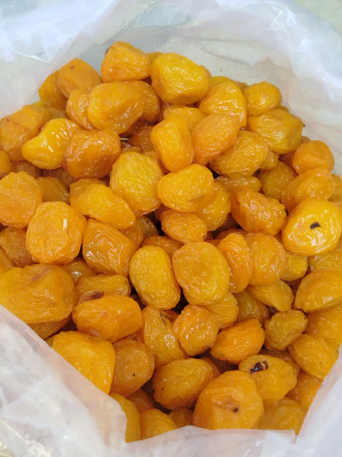 الوبخارا زرد و درجه یک|خوردنی و آشامیدنی|شیراز, دشت چنار|دیوار
