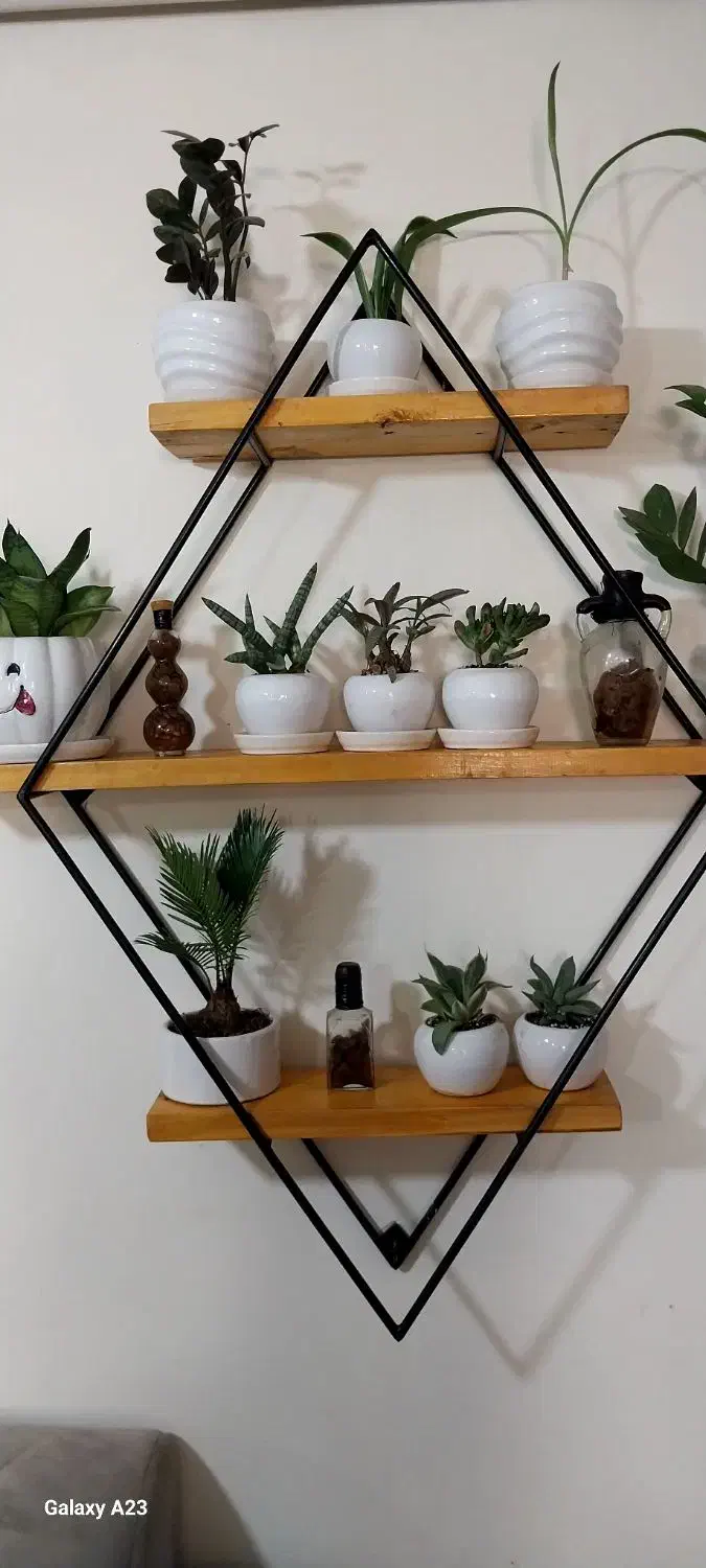 دکوراسیون گل و مجسمه شیک|کتابخانه، شلف، قفسه‌های دیواری|کنگاور, |دیوار