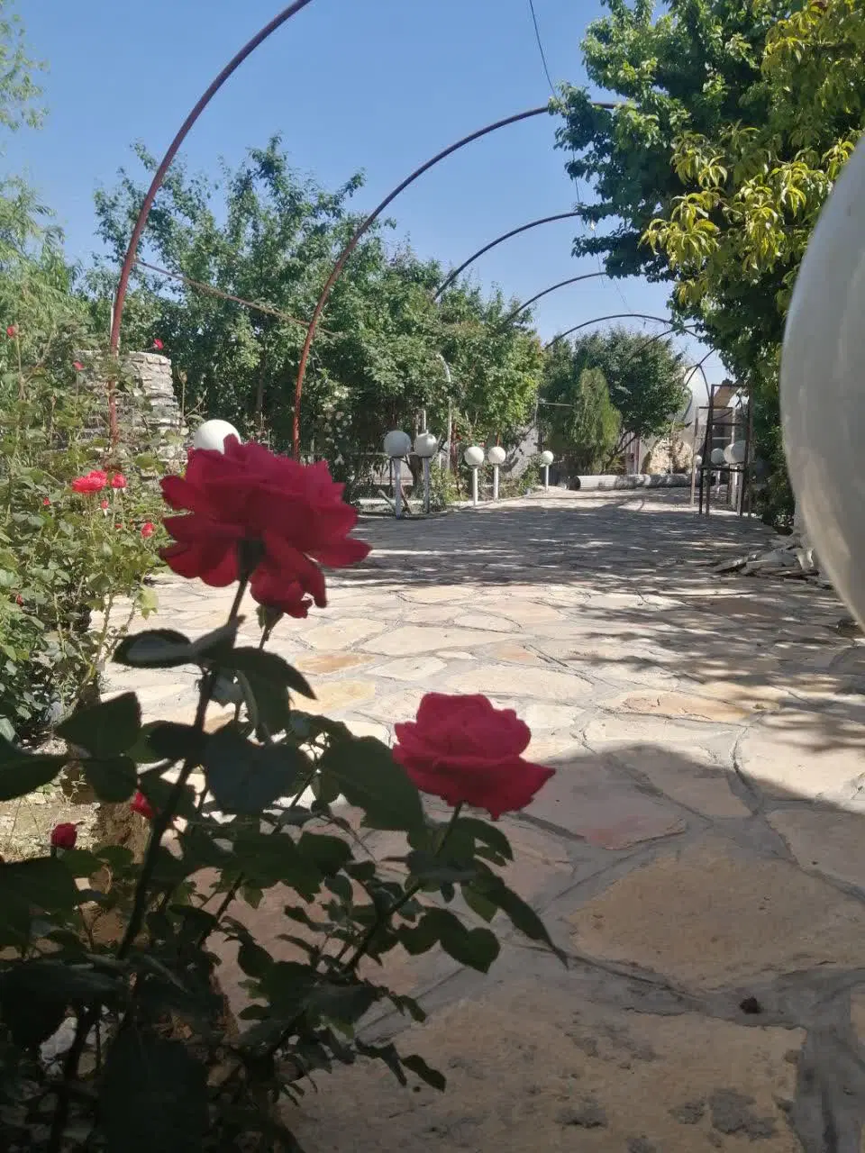 تصویر 16