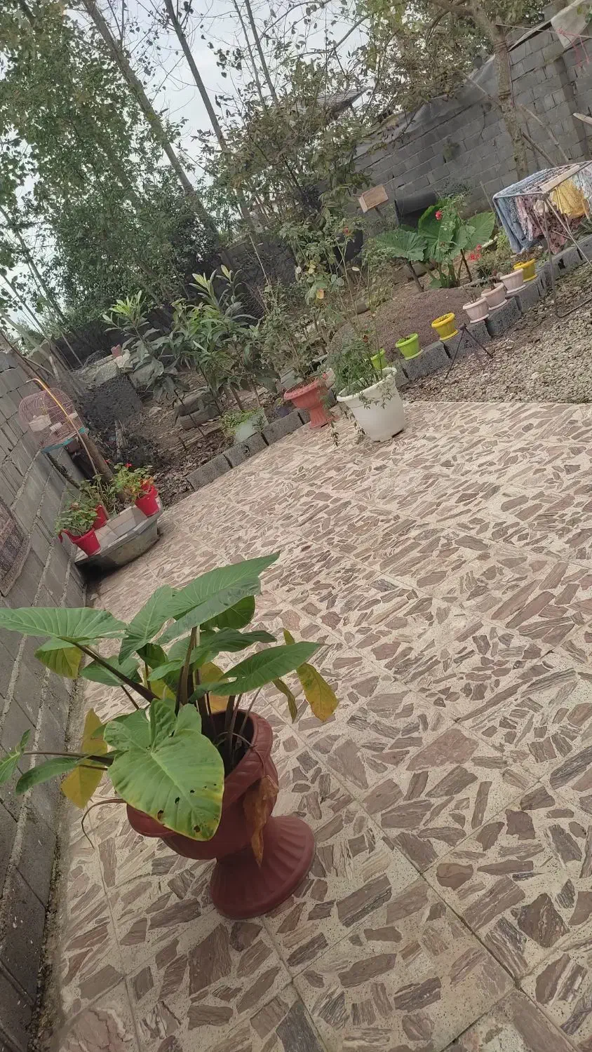 ۳۰۰متر زمین ۶۸متر بنا قیمت ۳ملیارد|فروش خانه و ویلا|نشتارود, |دیوار