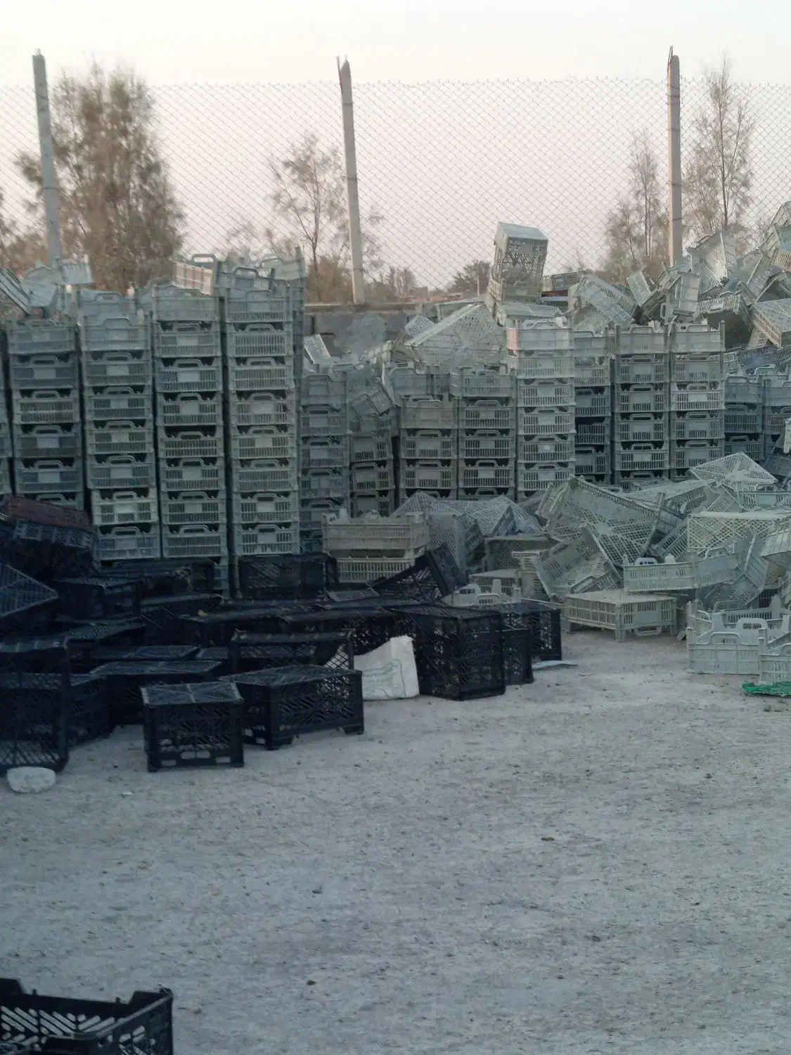 5000جعبه ترباری|فروشگاه و مغازه|مروست, |دیوار