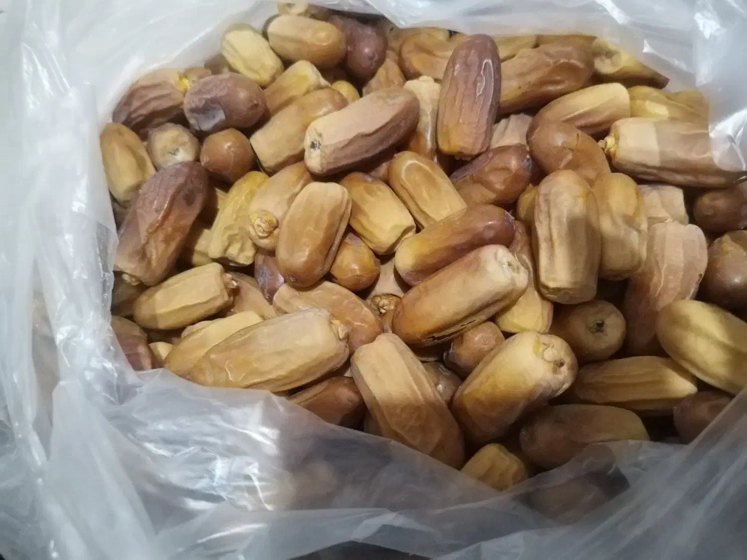 خرما قندشکن درشت تازه درجه یک|خوردنی و آشامیدنی|کرمان, |دیوار