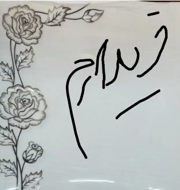 بشقاب پلویی|ظروف سرو و پذیرایی|رباطکریم, رباطکریم|دیوار