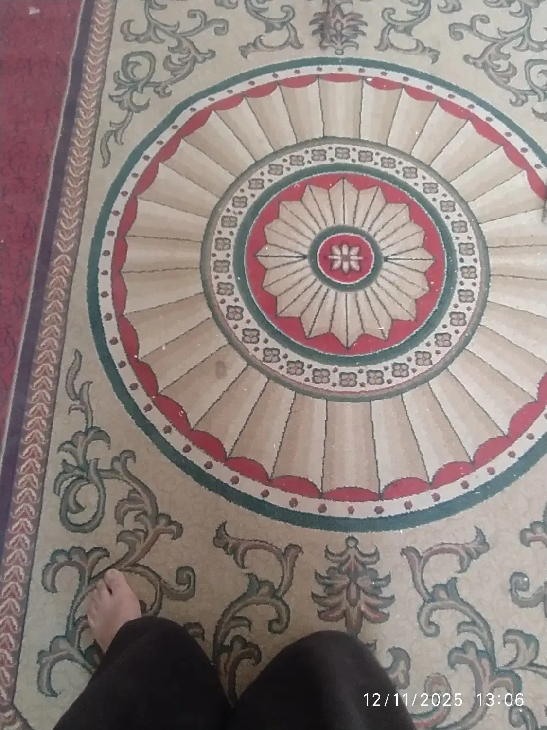 قالی ساوین کرمان|فرش|گتوند, |دیوار