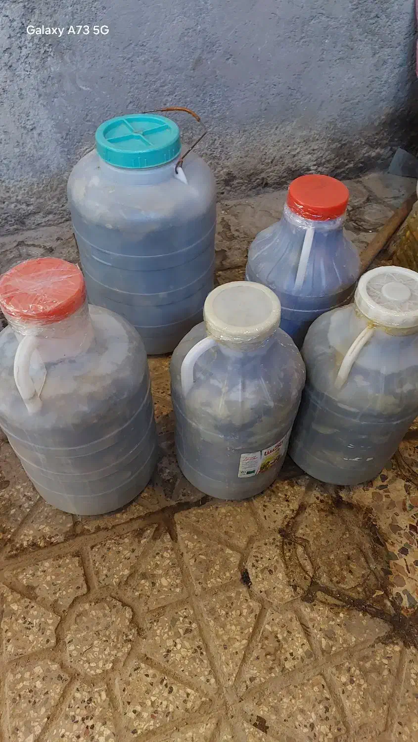 خیار شور تازه و ترد دبه های ۱۲ کیلویی|خوردنی و آشامیدنی|نیشابور, مازول|دیوار