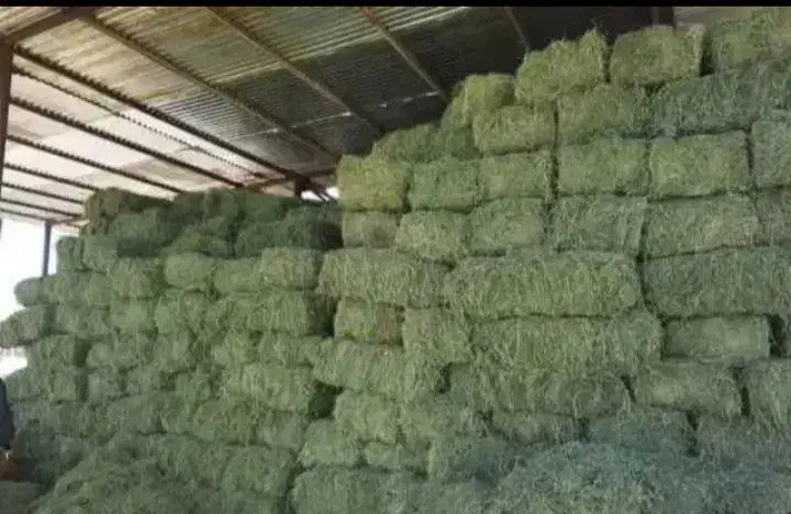 یونجه انباری|عمدهفروشی|دشتابی, |دیوار