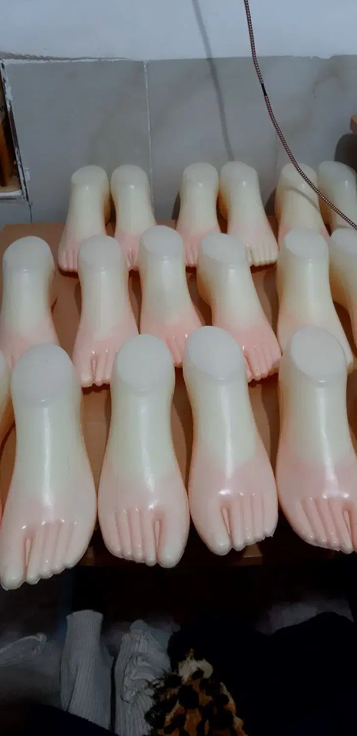 اسکلت پا|مجسمه، تندیس، ماکت|جوانرود, |دیوار