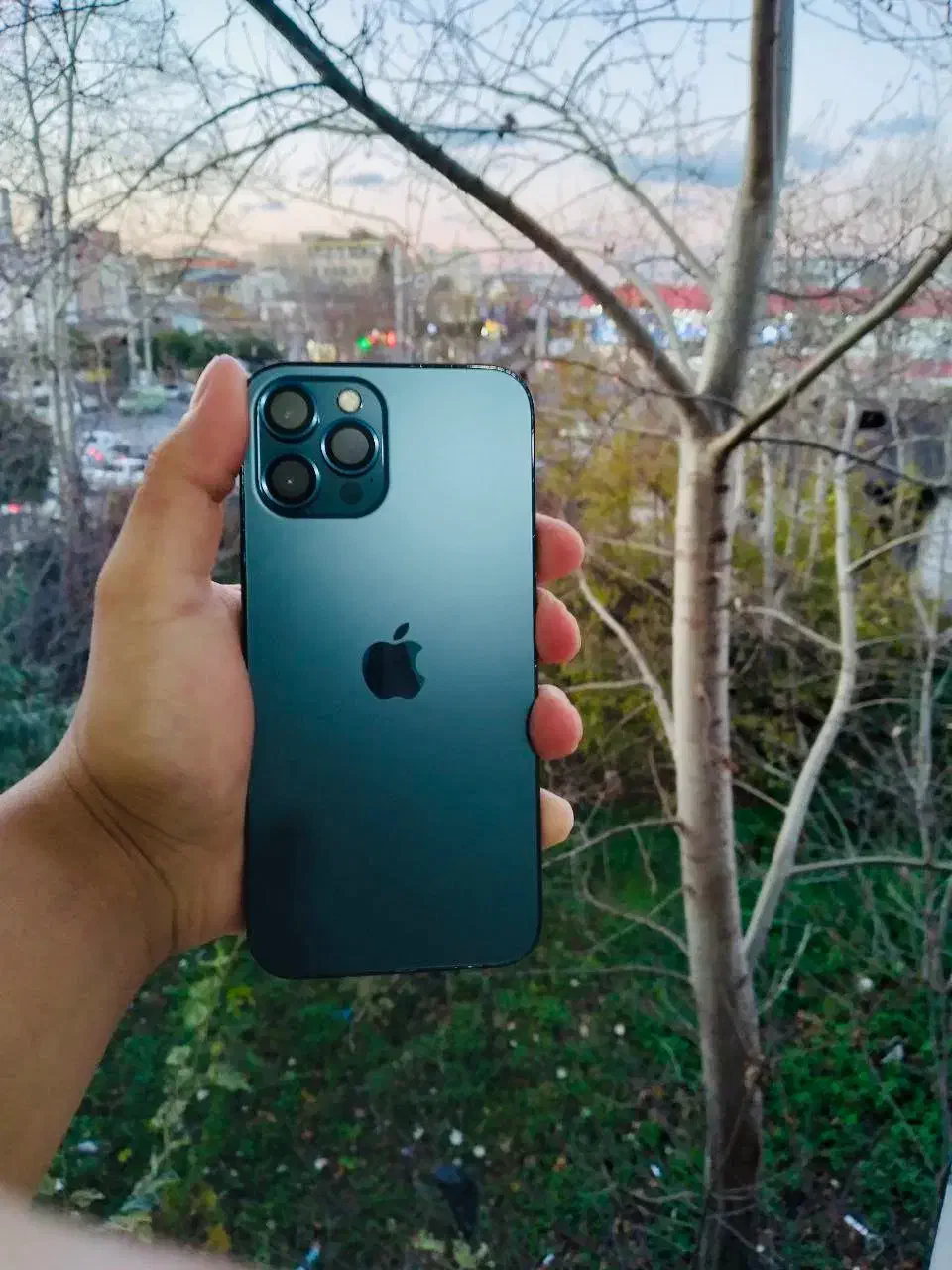 Apple 12 Pro max|موبایل|آمل, |دیوار