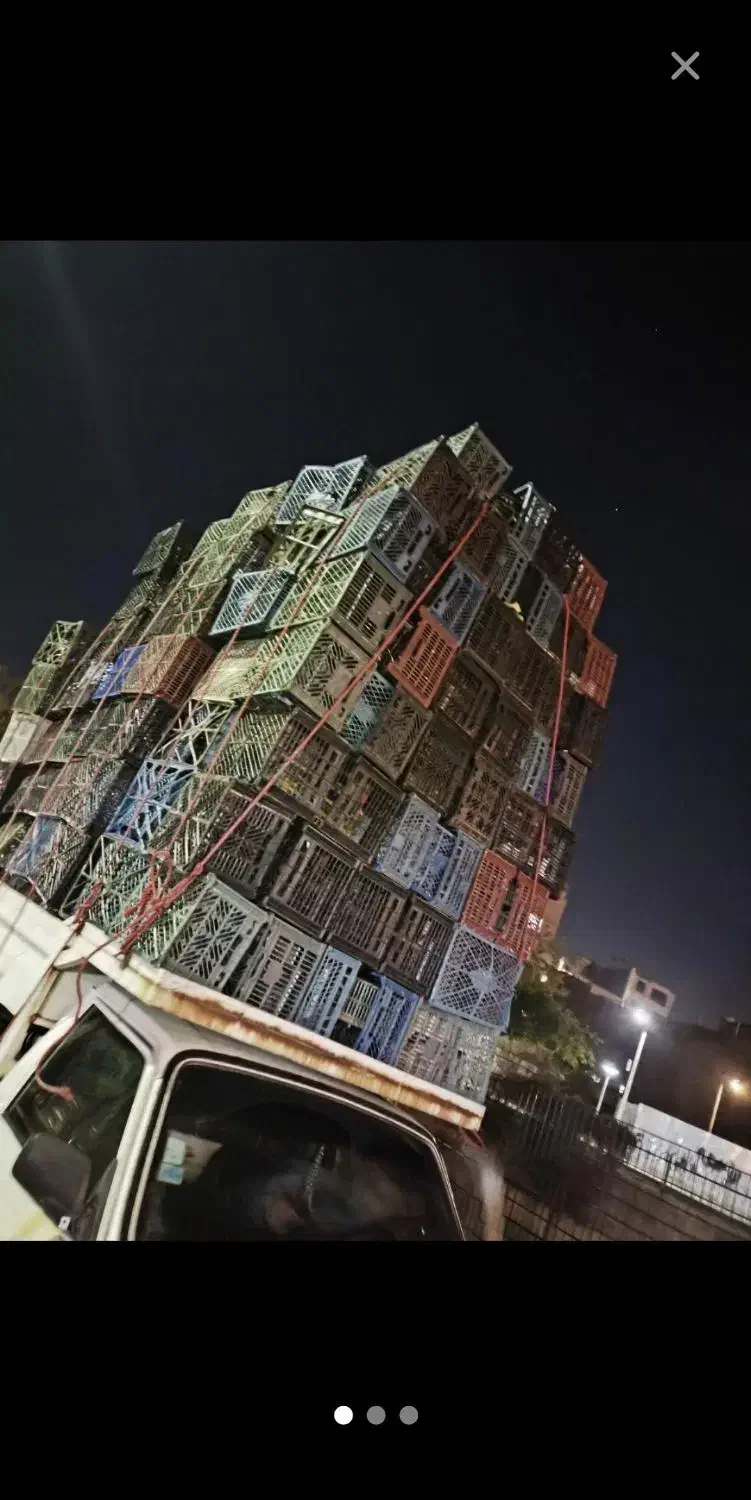 سبدوکارتن موز  دراسرع وقت|عمدهفروشی|مشهد, شهرک صنعتی توس|دیوار