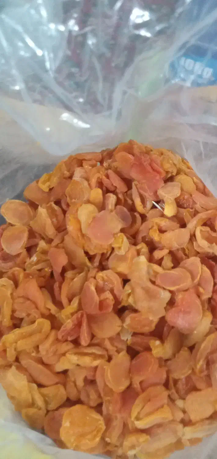 برگه زرد آلو آفتابی و گوگردی|خوردنی و آشامیدنی|سراب, |دیوار
