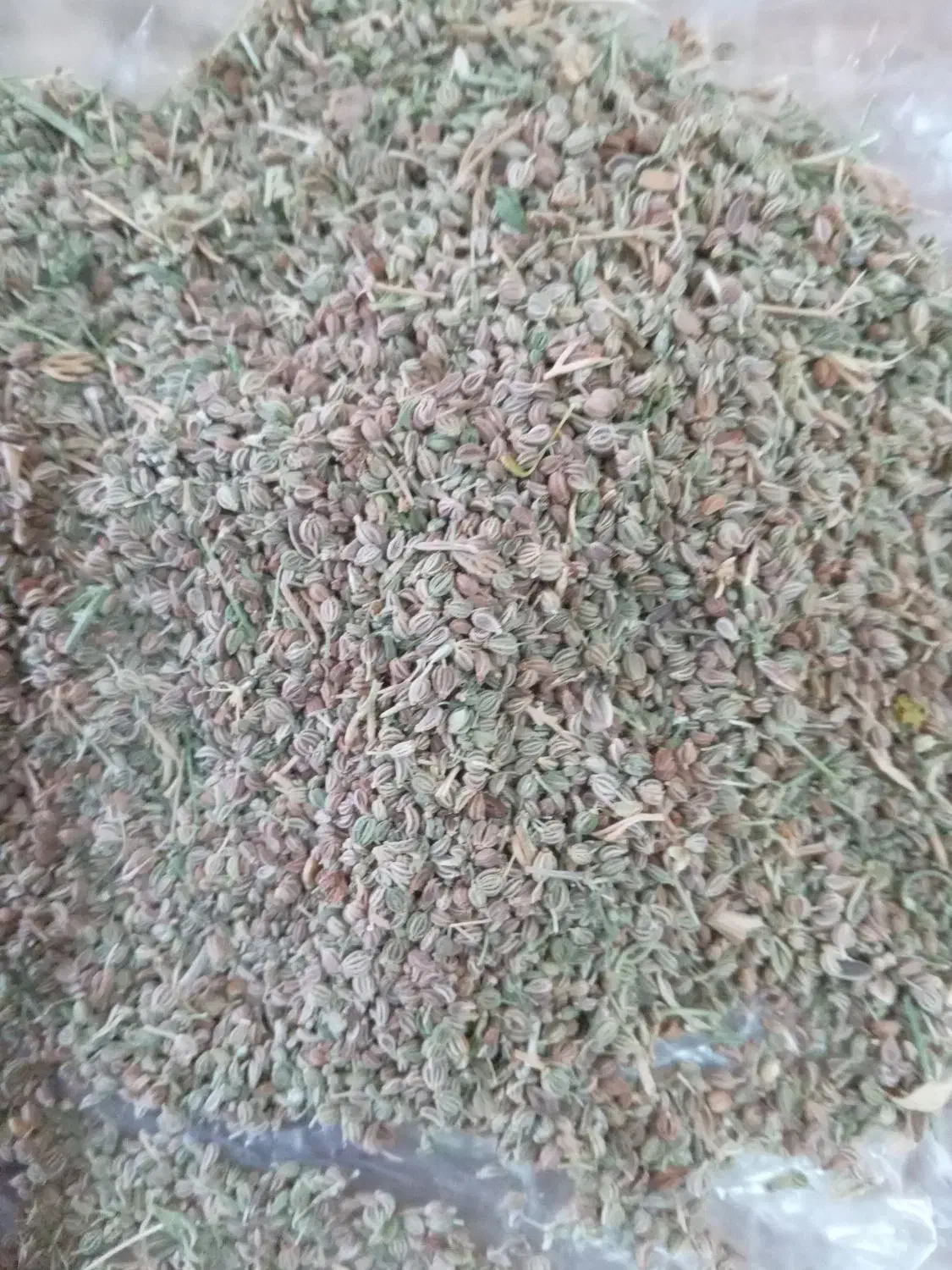 کسرک  فروشی|خوردنی و آشامیدنی|رودبار (کرمان), |دیوار