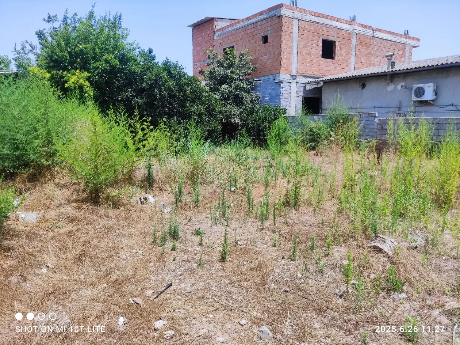 فروش زمین ۲۹۱ متری در بافت مسکونی|فروش زمین و ملک کلنگی|هادی شهر, |دیوار