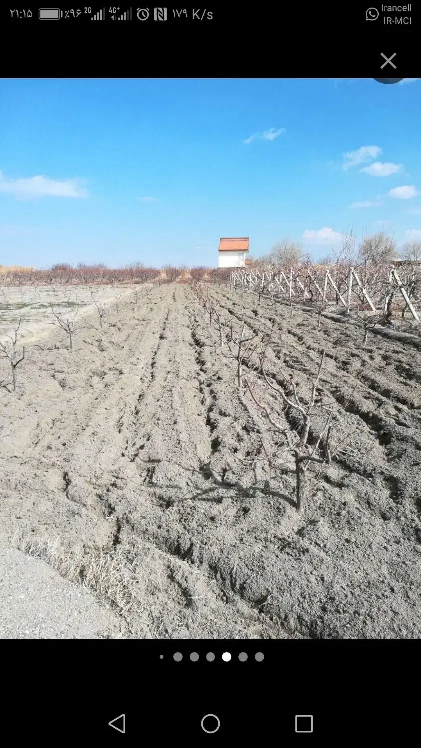 شخم زنی علف زنی باغ باغچه|خدمات باغبانی و درختکاری|ارومیه, |دیوار