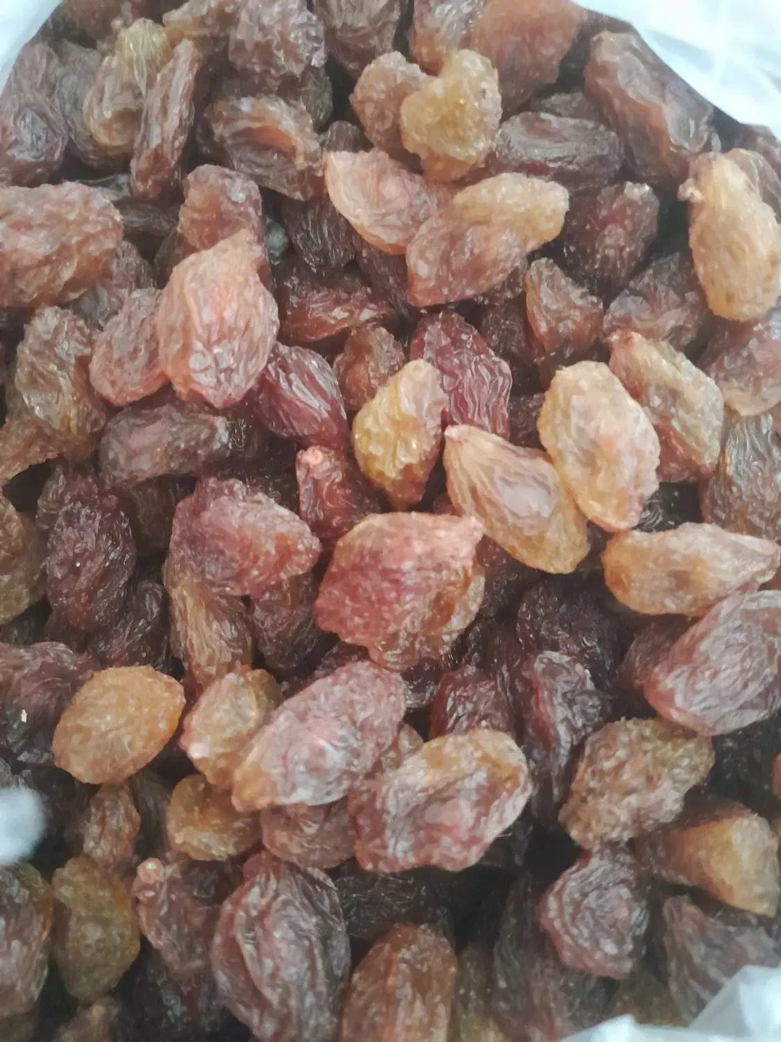 ممیز|خوردنی و آشامیدنی|تهران, حر|دیوار