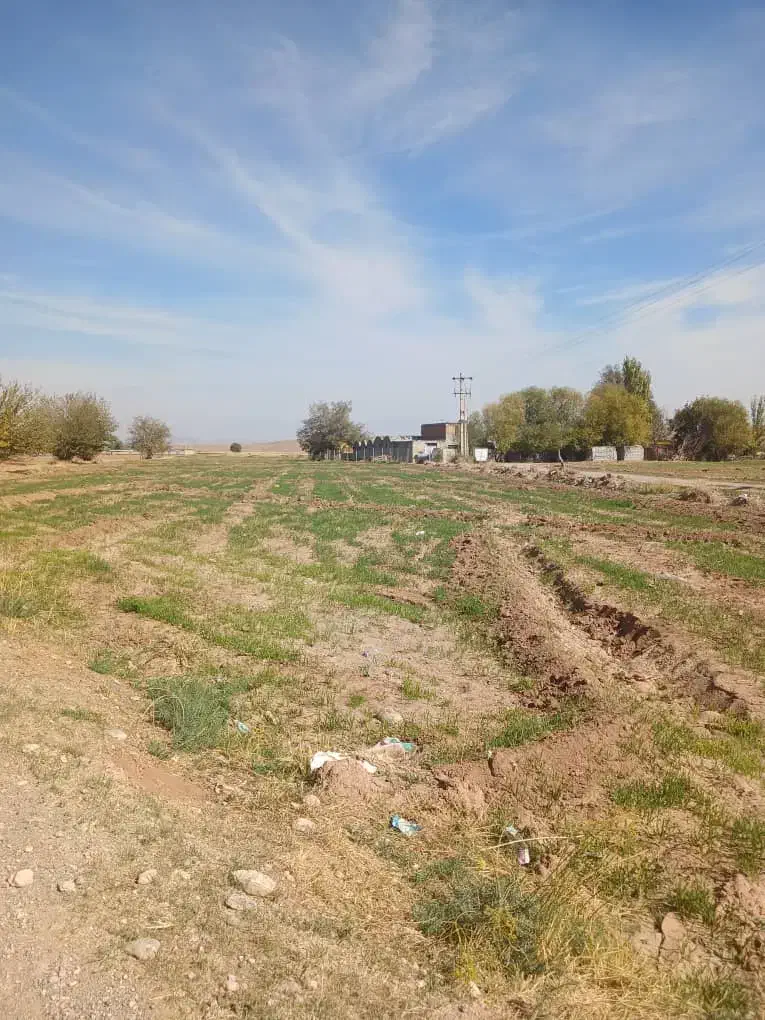 فروش زمین کشاورزی|فروش دفتر صنعتی، کشاورزی، تجاری|شوط, |دیوار